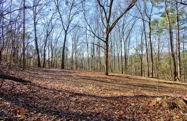 Charleston, TN 37310,8754 Candies Creek Ridge RD NW