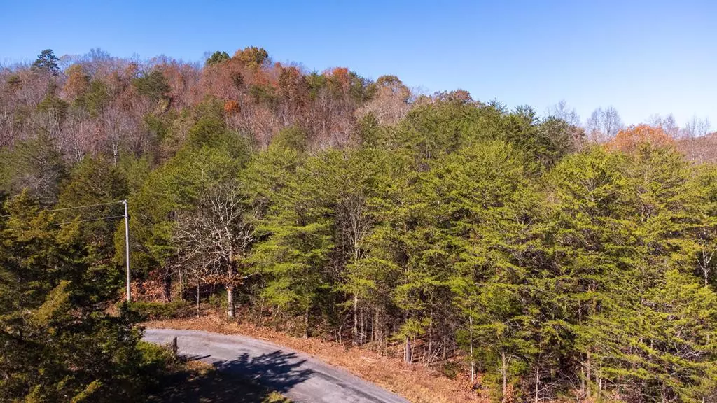 15.5 acres County Road 463, Englewood, TN 37329