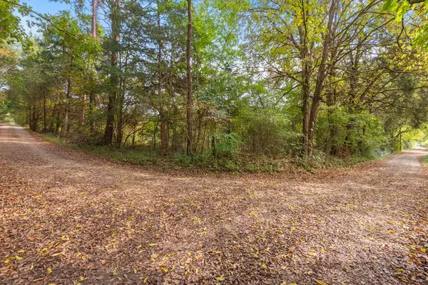 Rockwood, TN 37854,0 Rodgers Lane 1 Acre