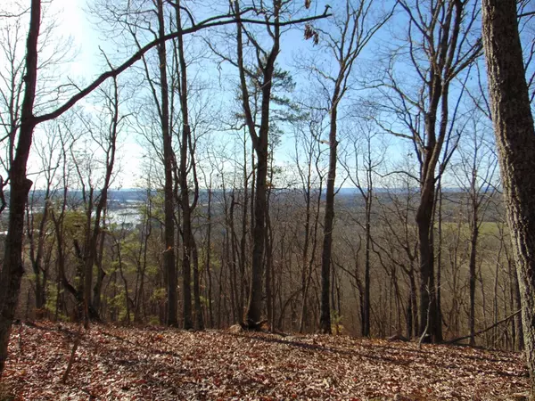 Decatur, TN 37322,58.66 Acre Cuno LN