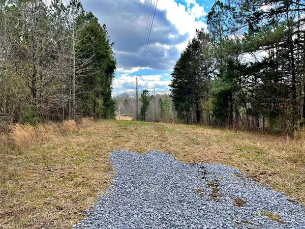 Decatur, TN 37322,Lot 2 County Road 188