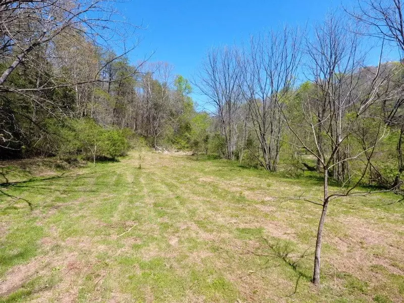 72a Reagan VLY, Tellico Plains, TN 37385