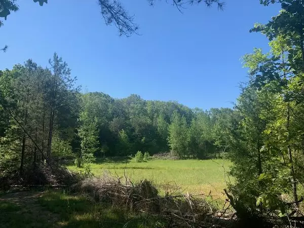 Evensville, TN 37332,56 Ac Texas Grove RD