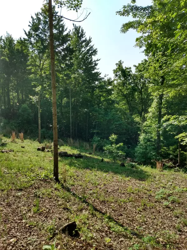 Spring City, TN 37381,Lot 418 Oak Tree RD