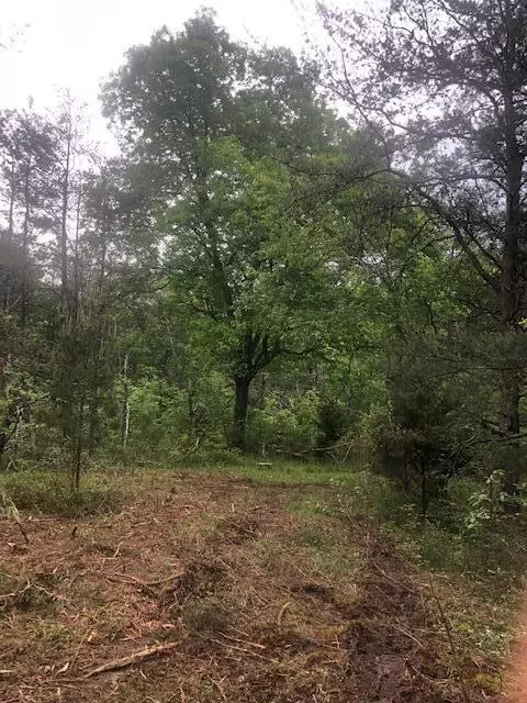 Crossville, TN 38571,887 Swicegood RD