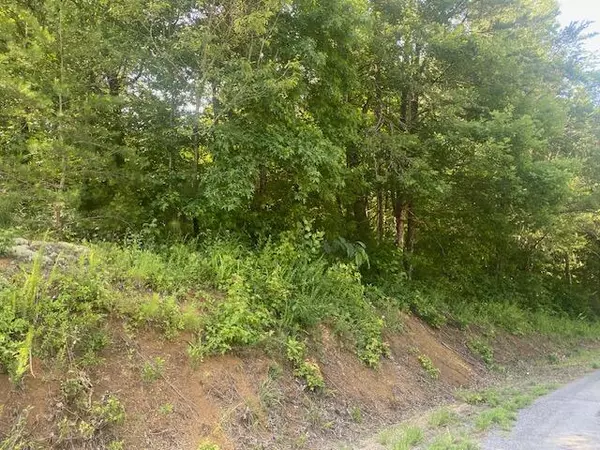 Englewood, TN 37329,Lot 1 County Road 477