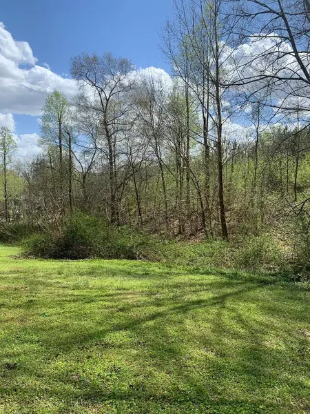 Lot 10 County Rd 8, Calhoun, TN 37309