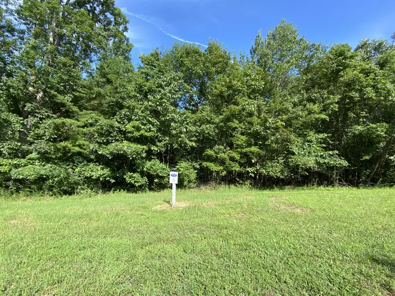 154 Wood Chase LN, Spring City, TN 37381