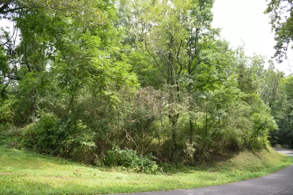 Dayton, TN 37321,Lot 28 Park DR