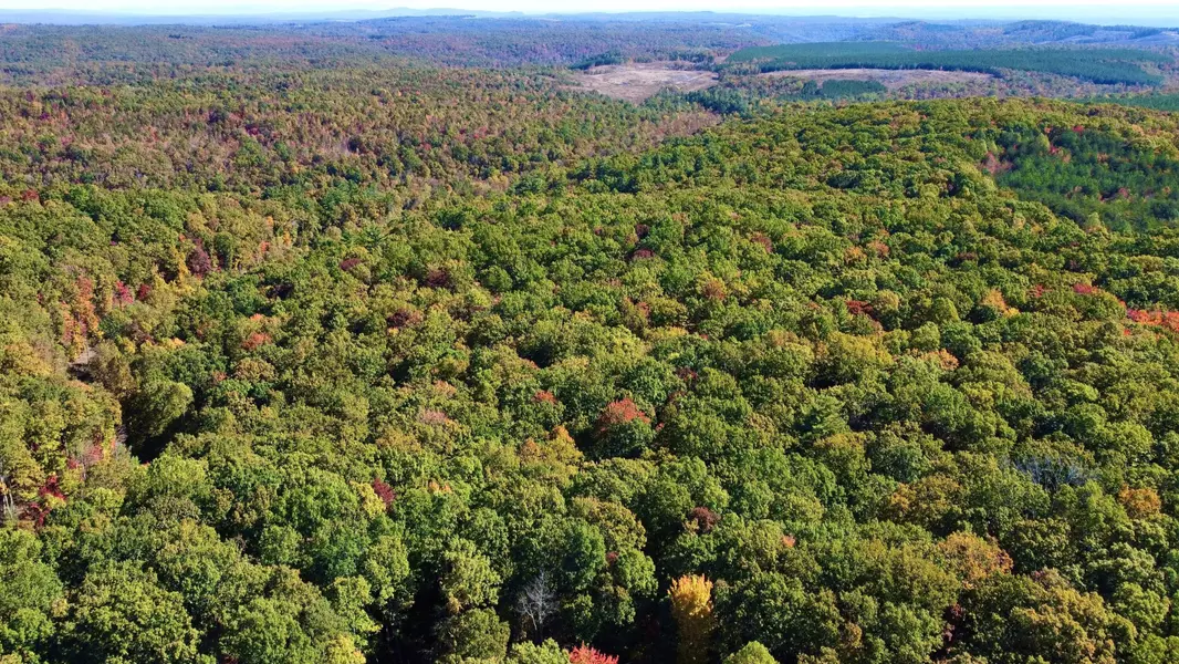 1.7 Ac Log RD, Spring City, TN 37381