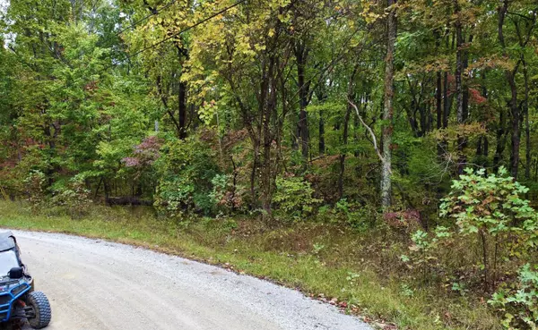 Spring City, TN 37381,1.7 Ac Log RD