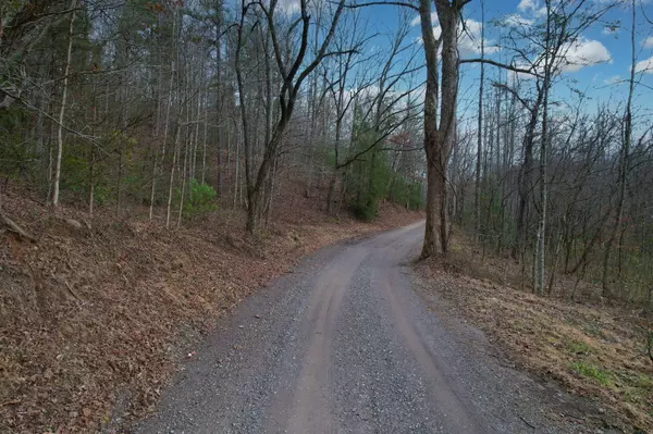 Turtletown, TN 37391,000 Rocky Ford RD