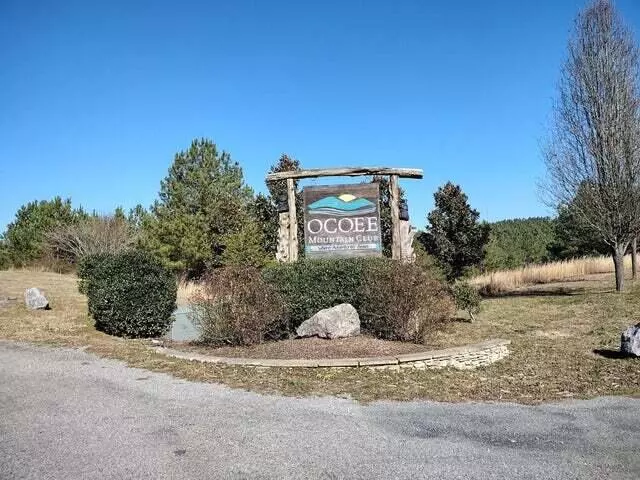 Ocoee, TN 37361,115 Casson RD