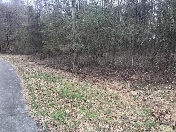 Ten Mile, TN 37880,Lot 50 Cherokee CIR