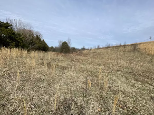 Tellico Plains, TN 37385,2.51ac High ST