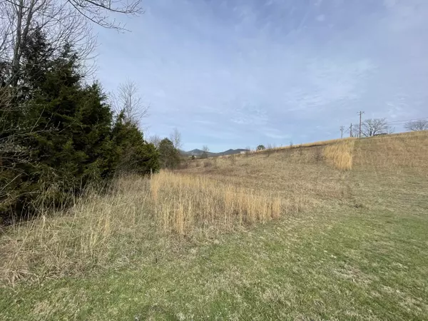 Tellico Plains, TN 37385,2.51ac High ST