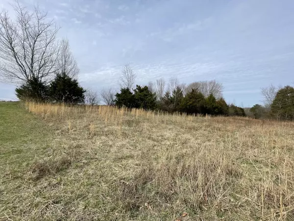 Tellico Plains, TN 37385,2.51ac High ST