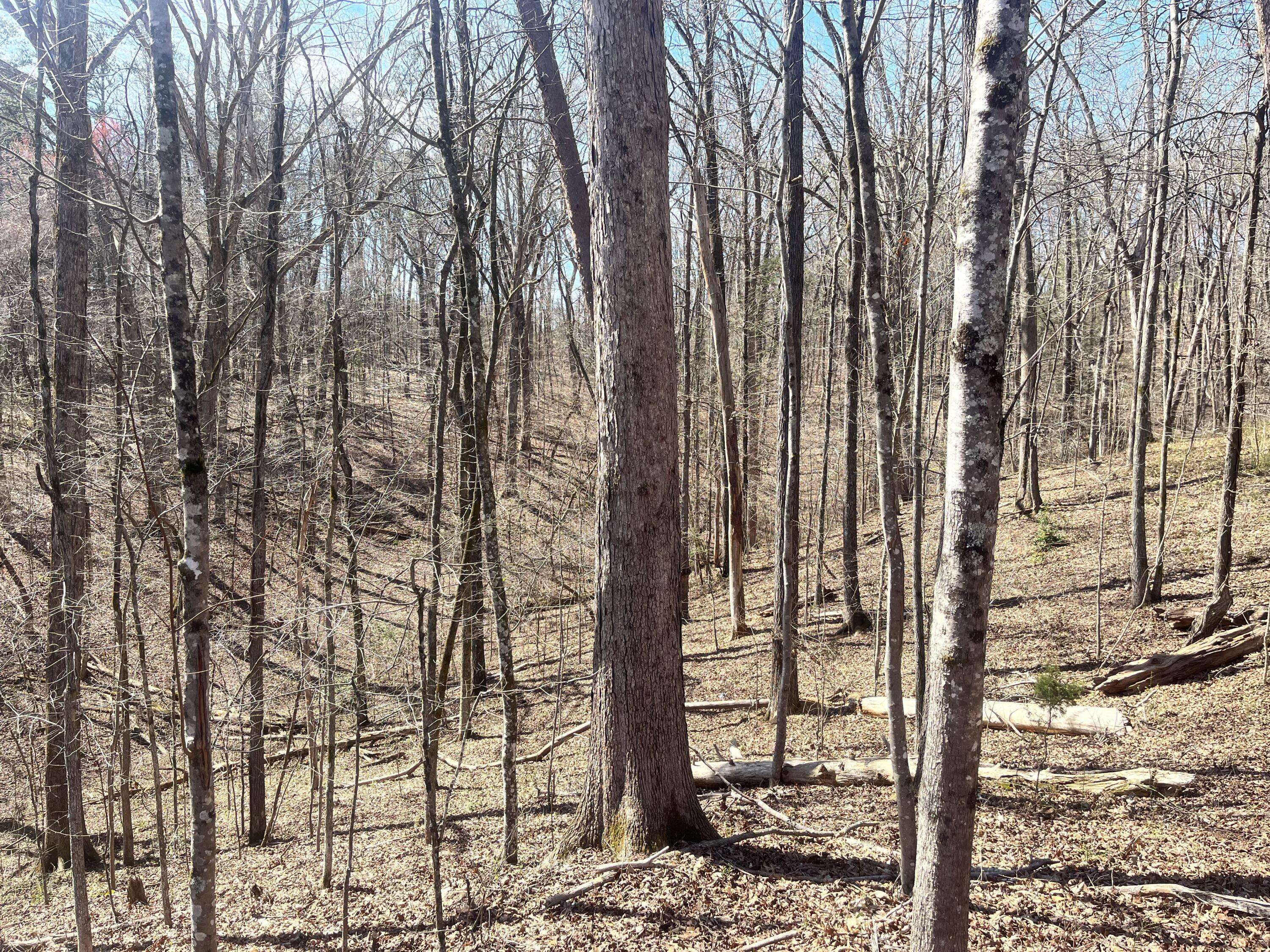 Soddy-daisy, TN 37379,630 River Landing DR