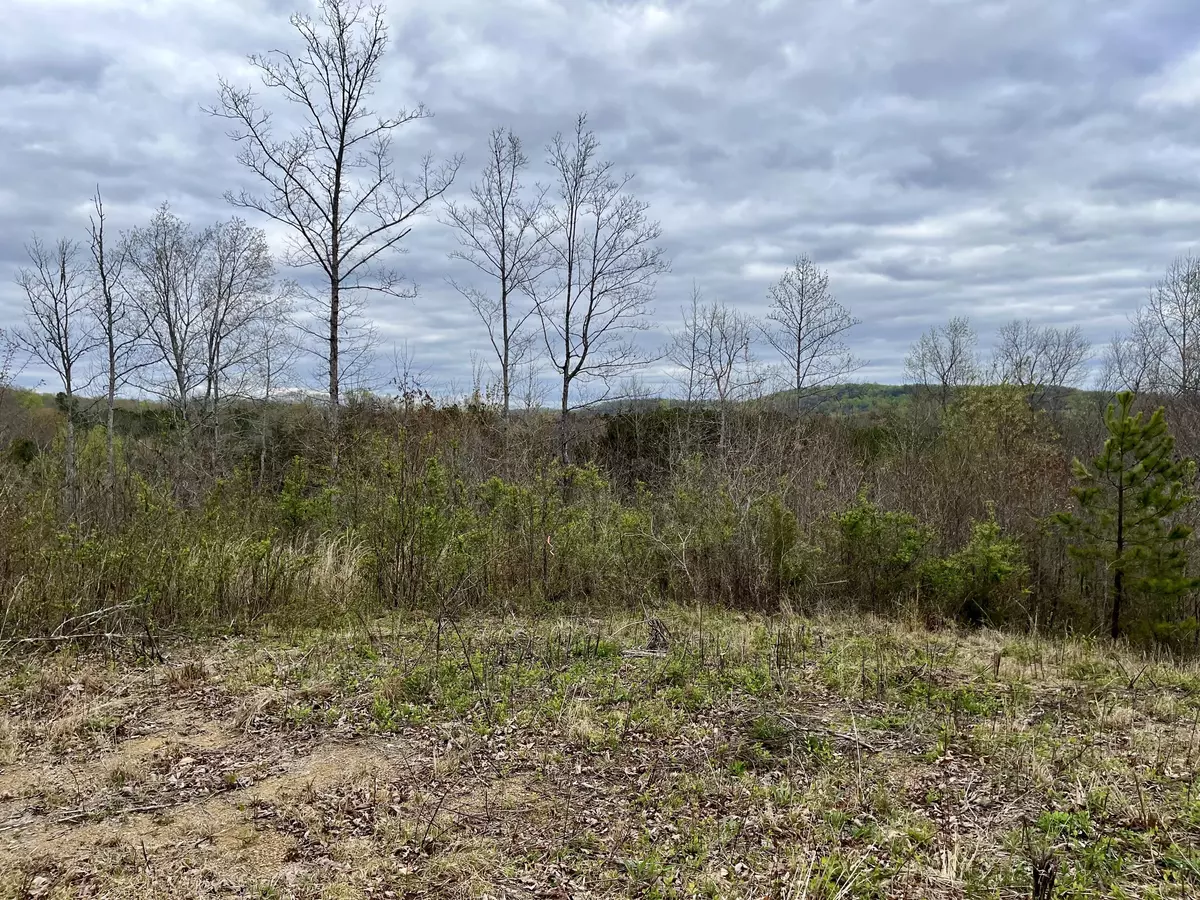 Decatur, TN 37322,Lot 4 County Road 188