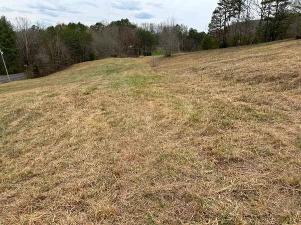 Evensville, TN 37332,Lot 29 Escape DR