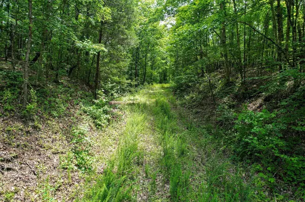 Athens, TN 37303,00 92 County Road