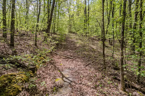 Ten Mile, TN 37880,00 Euchee RD