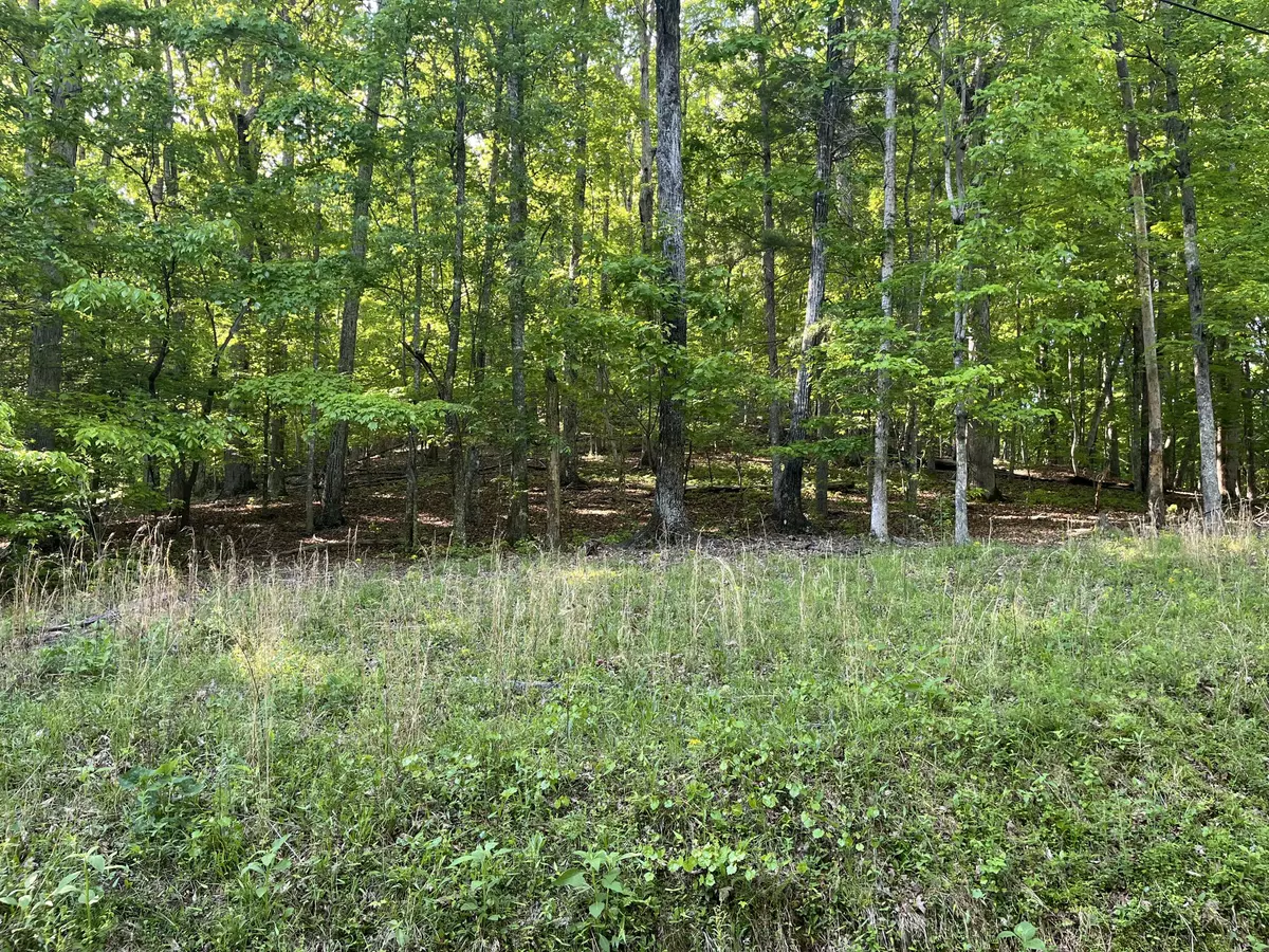 Spring City, TN 37381,Lot 695 Rockview Drive