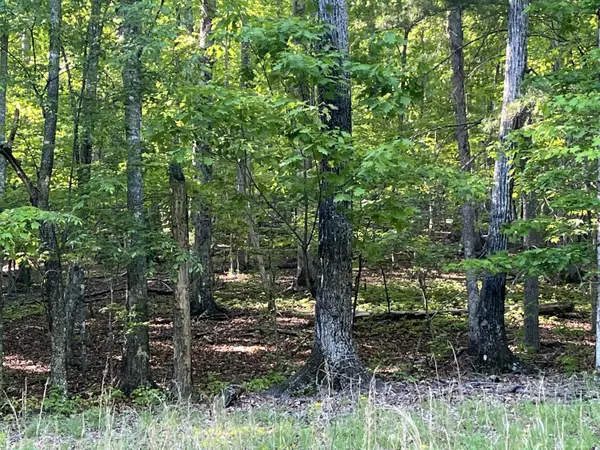 Spring City, TN 37381,Lot 695 Rockview Drive