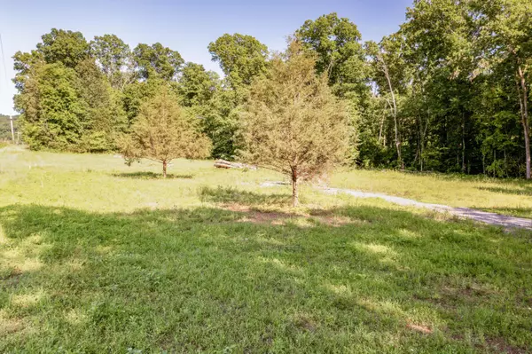 Decatur, TN 37322,000 Lamontville RD