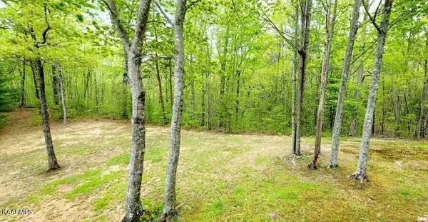 Tellico Plains, TN 37385,140 Robert Smith RD