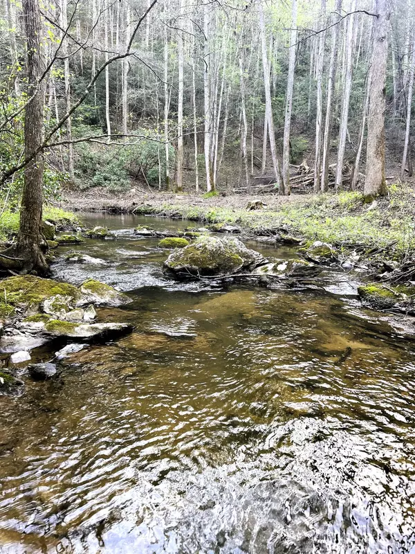 Tellico Plains, TN 37385,40 Acres Ivy Trail