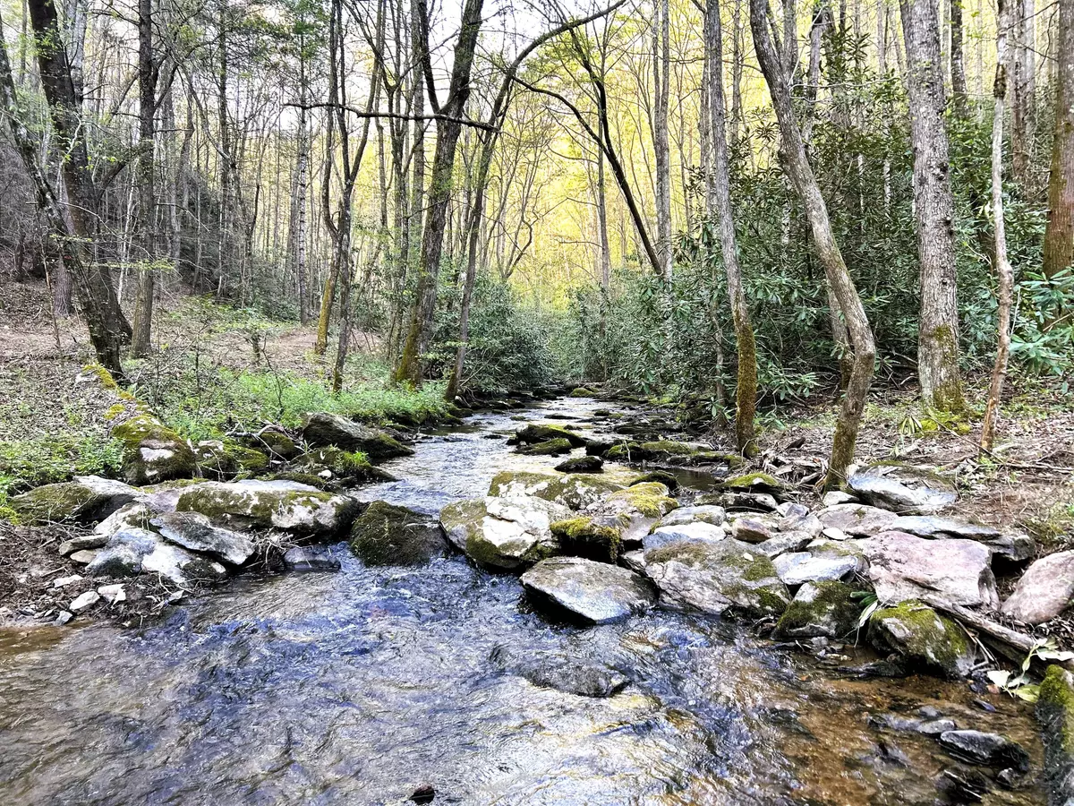 Tellico Plains, TN 37385,40 Acres Ivy Trail