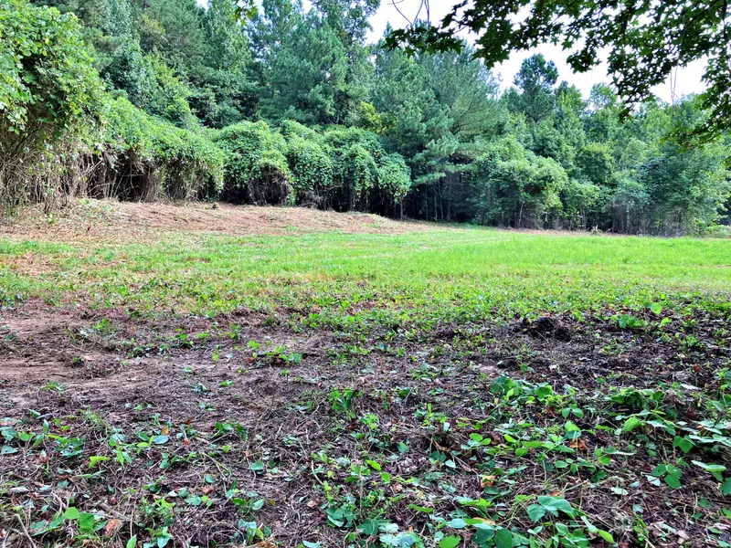 Lot 3 Oak Grove Road, Decatur, TN 37322