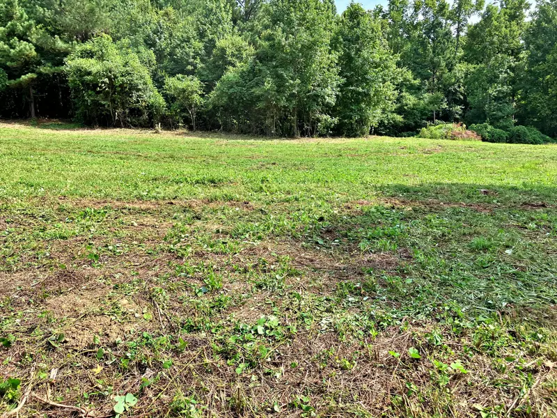 Lot 4 Oak Grove Road, Decatur, TN 37322