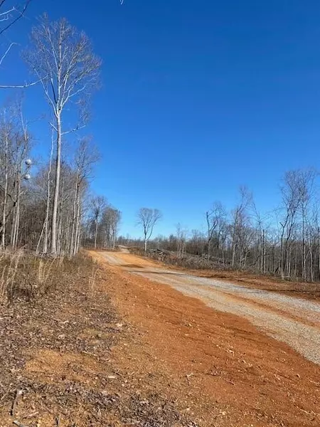 Tract 8 River RD, Decatur, TN 37322