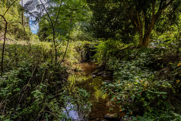 Reliance, TN 37369,1872 Childers Creek RD