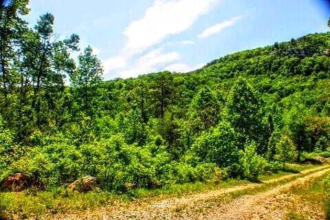 2.2 Acres Blue Sewabee RD, Dunlap, TN 37327