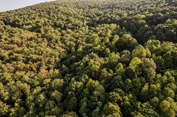 Spring City, TN 37381,Lots 8a/8b Dunlukin DR