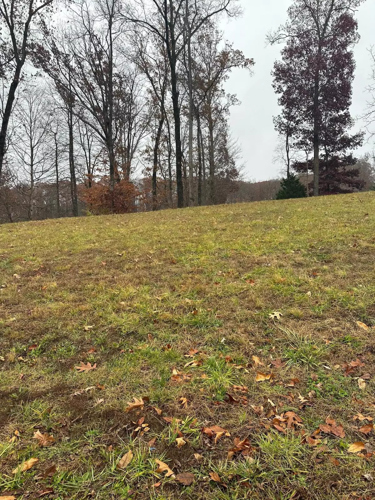 Cleveland, TN 37311,Lot 12 Ridge Park DR NE