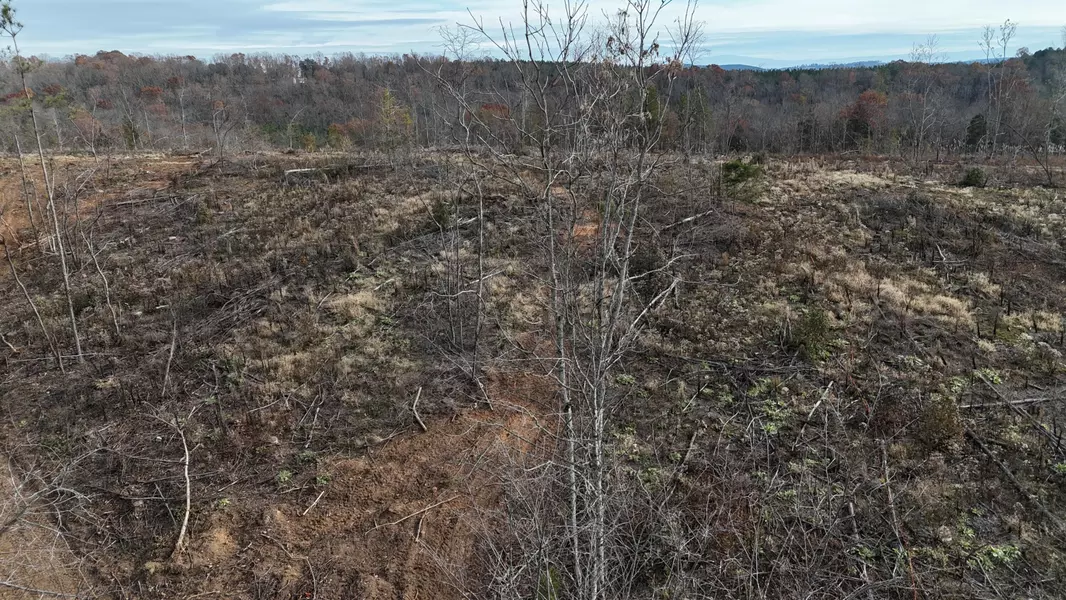 Lot 3 Lamontville RD, Decatur, TN 37322