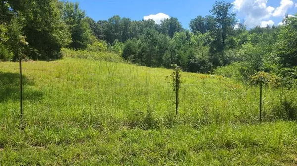 Charleston, TN 37310,00 Lot 2, Union Grove RD NE