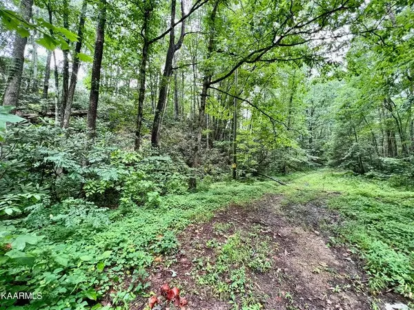 Sevierville, TN 37876,Lot 48 Sycamore ST