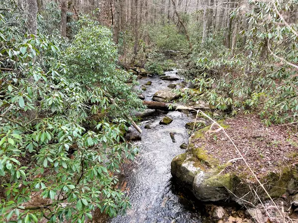 Reliance, TN 37369,00 Bullet Creek RD