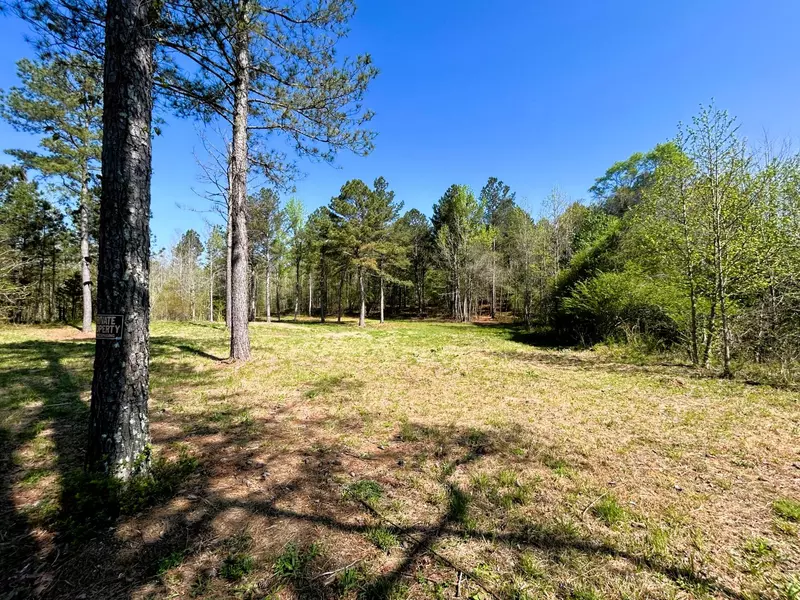 3720 Charles Road, Decatur, TN 37322