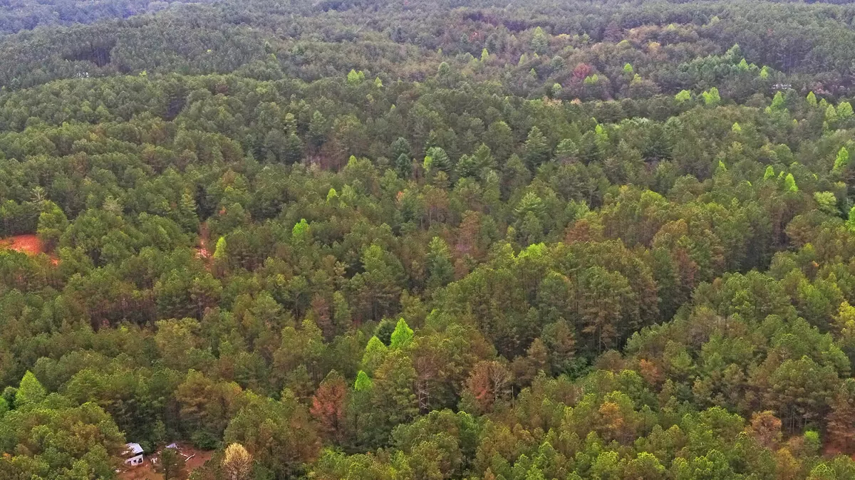 Turtletown, TN 37391,00 Stansbury Mountain RD