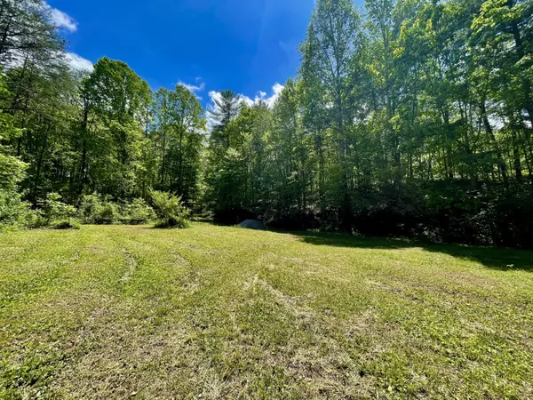 Tellico Plains, TN 37385,1294 Rafter RD