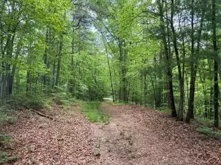 Turtletown, TN 37391,00 Woodsong Haven LN