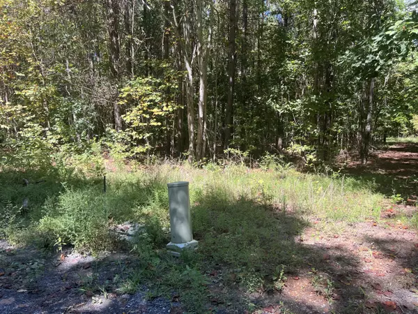 Decatur, TN 37322,00 Lower River RD