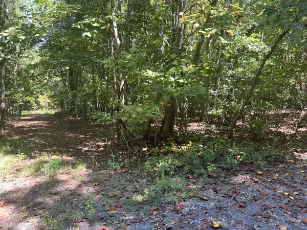 Decatur, TN 37322,00 Lower River RD