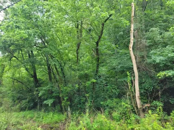 Harriman, TN 37748,2220 Ruritan RD